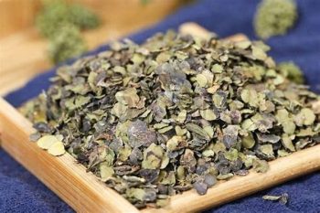 Duckweed Herb - 1 lb (454 g)