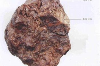 Ferula Resin - 1 lb (454 g)