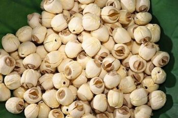 Lotus Seed - 1 lb (454 g)