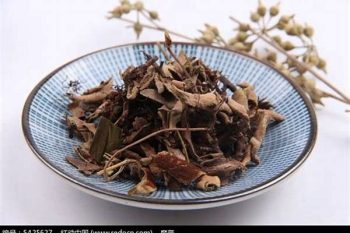 Pyrrosia Leaf - 1 lb (454 g)