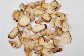 Typhonium Tuber - 1 lb (454 g)