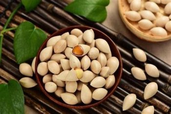 Ginkgo Seed - 1 lb (454 g)