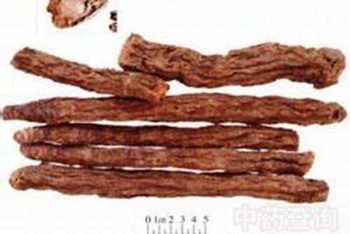 Cynomorium Herb - 1 lb (454 g)