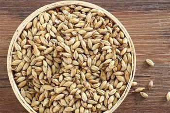 Malt - 1 lb (454 g)