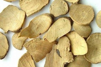 Lindera Root - 1 lb (454 g)