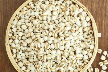 Coix Seed - 1 lb (454 g)