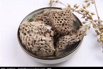 Wasp Nest - 1 lb (454 g)