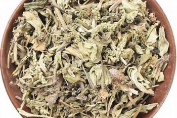Plantain Herb - 1 lb (454 g)
