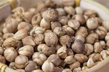 Cardamom Fruit - 1 lb (454 g)