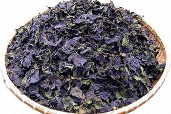 Perilla Leaf - 1 lb (454 g)