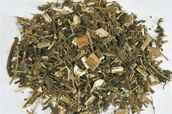 Siegesbeckia Herb - 1 lb (454 g)