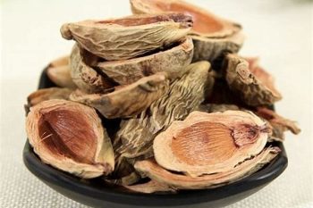 Areca Peel - 1 lb (454 g)