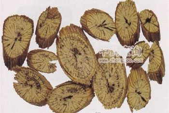 Clematis Stem - 1 lb (454 g)