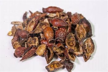 Mantis Egg Case - 1 lb (454 g)