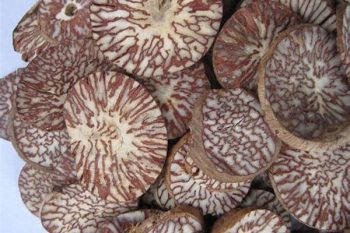 Areca Nut - 1 lb (454 g)