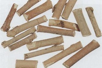 Mulberry Twig - 1 lb (454 g)