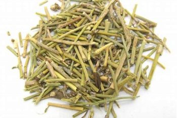 Ephedra Root - 1 lb (454 g)