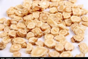 Glehnia Root - 1 lb (454 g)