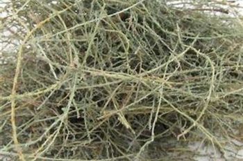 Tamarisk Twig - 1 lb (454 g)