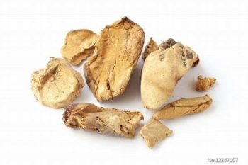 Puffball - 1 lb (454 g)
