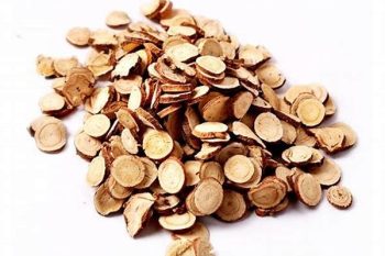 Ussuri Fritillaria Bulb - 1 lb (454 g)