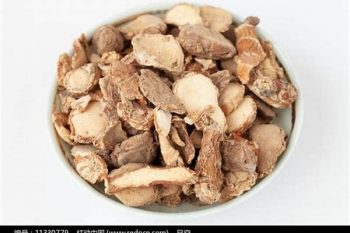 Galangal Rhizome - 1 lb (454 g)