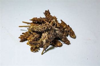 Prunella Spike - 1 lb (454 g)