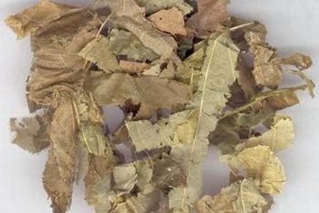 Epimedium Herb - 1 lb (454 g)