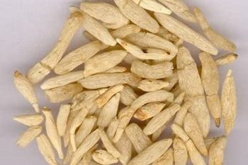 Ophiopogon Root - 1 lb (454 g)