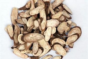 Peony Root - 1 lb (454 g)