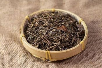 Mosla Herb - 1 lb (454 g)