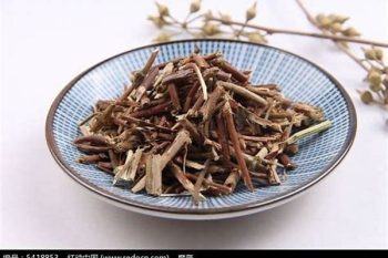 Honeysuckle Stem - 1 lb (454 g)