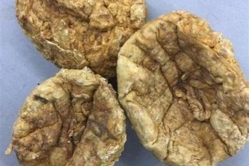 Placenta - 1 lb (454 g)