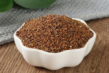 Cuscuta Seed - 1 lb (454 g)
