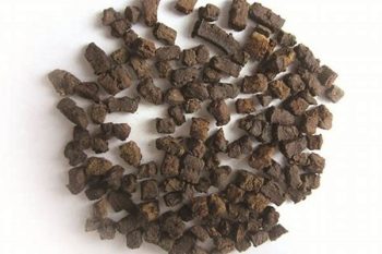 Arisaema with Bile - 1 lb (454 g)