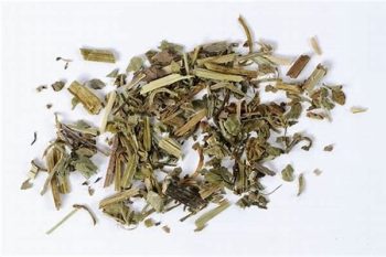 Glechoma Herb - 1 lb (454 g)