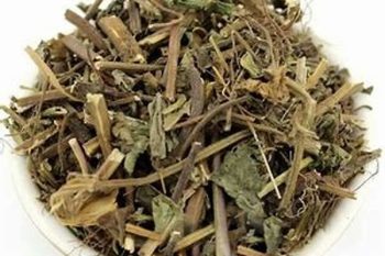 Clinopodium Herb - 1 lb (454 g)