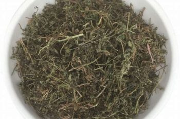 Centipeda Herb - 1 lb (454 g)