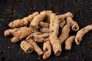 Morinda Root - 1 lb (454 g)