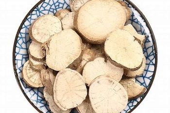 Stephania Root - 1 lb (454 g)