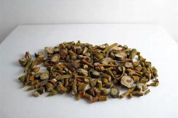 Mistletoe - 1 lb (454 g)