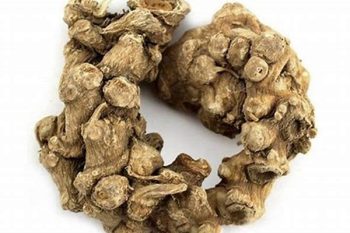 Panax Root - 1 lb (454 g)