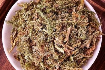 Liquidambar Fruit - 1 lb (454 g)