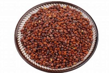 Radish Seed - 1 lb (454 g)