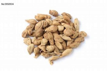 Tangerine Seed - 1 lb (454 g)