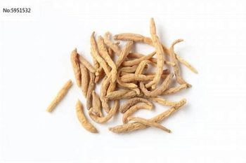 Pseudostellaria Root - 1 lb (454 g)