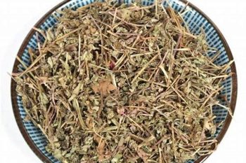 Euphorbia Herb - 1 lb (454 g)