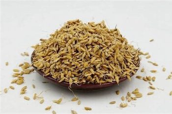 Rice Sprout - 1 lb (454 g)