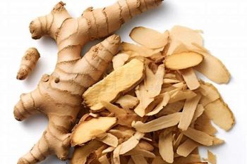 Ginger Rhizome - 1 lb (454 g)