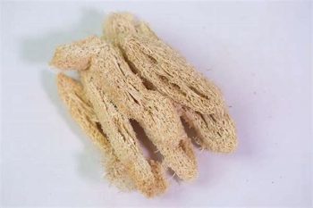Luffa Sponge - 1 lb (454 g)